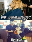 每次跟理发师说我就是想修一修
