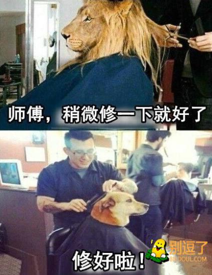每次跟理发师说我就是想修一修