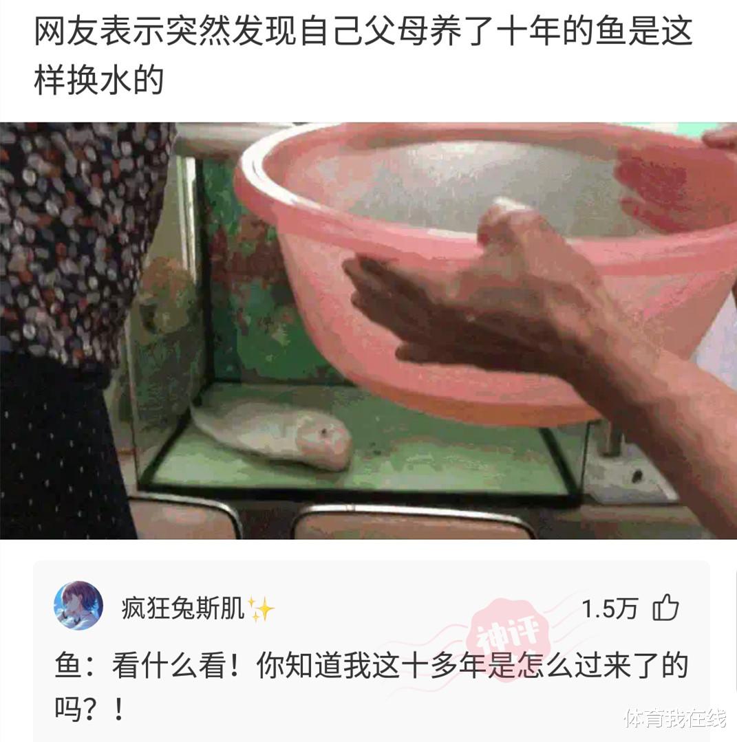 神回复:为什么野生动物吃鱼很少被卡住?它们有特殊的技巧吗? 神回复:为什么野生动物吃鱼很少被卡住?它们有特殊的技巧吗?