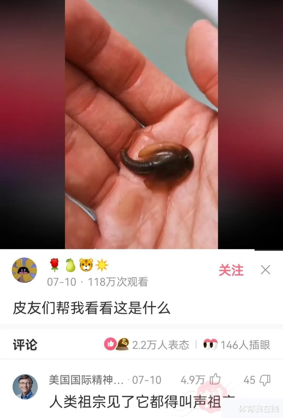 神回复:为什么野生动物吃鱼很少被卡住?它们有特殊的技巧吗? 神回复:为什么野生动物吃鱼很少被卡住?它们有特殊的技巧吗?