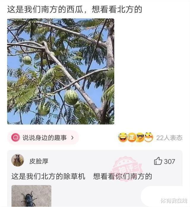 神回复：为什么野生动物吃鱼很少被卡住？它们有特殊的技巧吗？