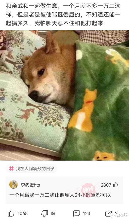 神回复:为什么吃草的牛会拥有一身肌肉,而吃肉的人却难以有肌肉? 神回复:为什么吃草的牛会拥有一身肌肉,而吃肉的人却难以有肌肉?