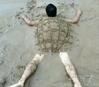 乌龟的腿有这么长吗 乌龟的腿有这么长吗