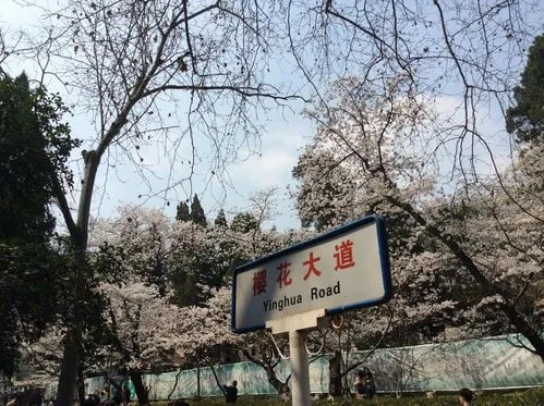 穿日本和服逛街被痛骂!她冤吗? 穿日本和服逛街被痛骂!她冤吗?