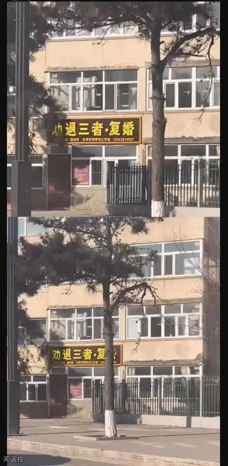 轻松一刻:春天到了,万物复苏了,她们也要开张了! 轻松一刻:春天到了,万物复苏了,她们也要开张了!