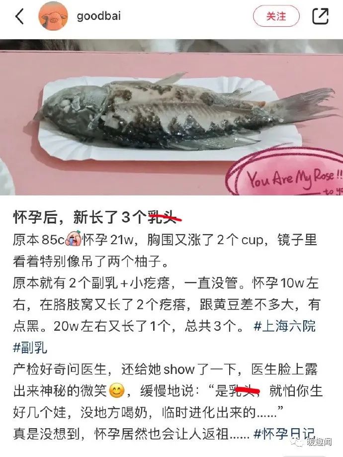 轻松一刻:春天到了,万物复苏了,她们也要开张了! 轻松一刻:春天到了,万物复苏了,她们也要开张了!