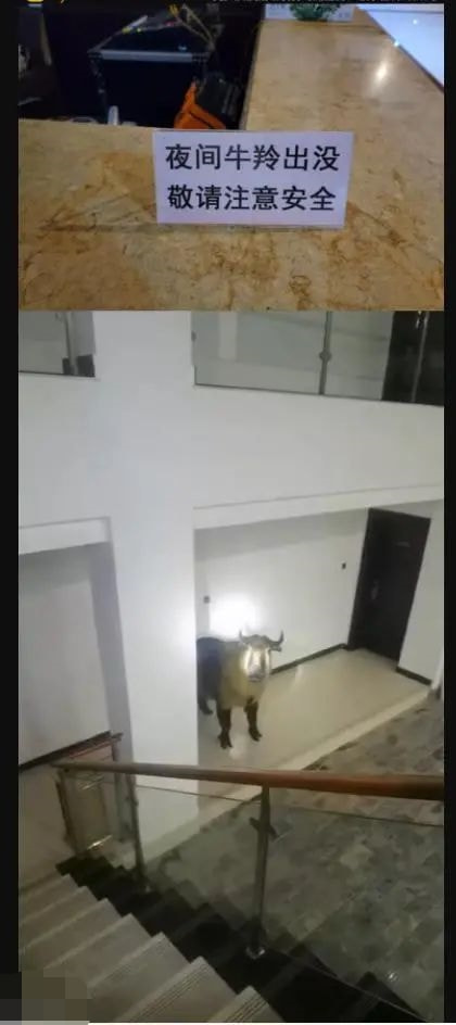 轻松一刻:春天到了,万物复苏了,她们也要开张了! 轻松一刻:春天到了,万物复苏了,她们也要开张了!