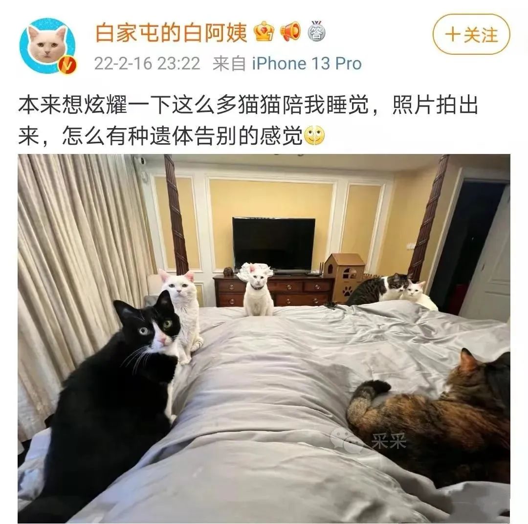 轻松一刻:春天到了,万物复苏了,她们也要开张了! 轻松一刻:春天到了,万物复苏了,她们也要开张了!