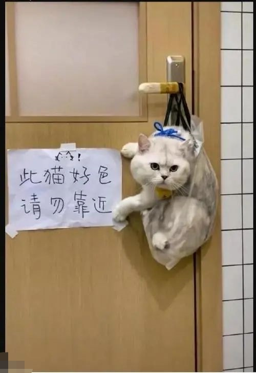 轻松一刻:春天到了,万物复苏了,她们也要开张了! 轻松一刻:春天到了,万物复苏了,她们也要开张了!