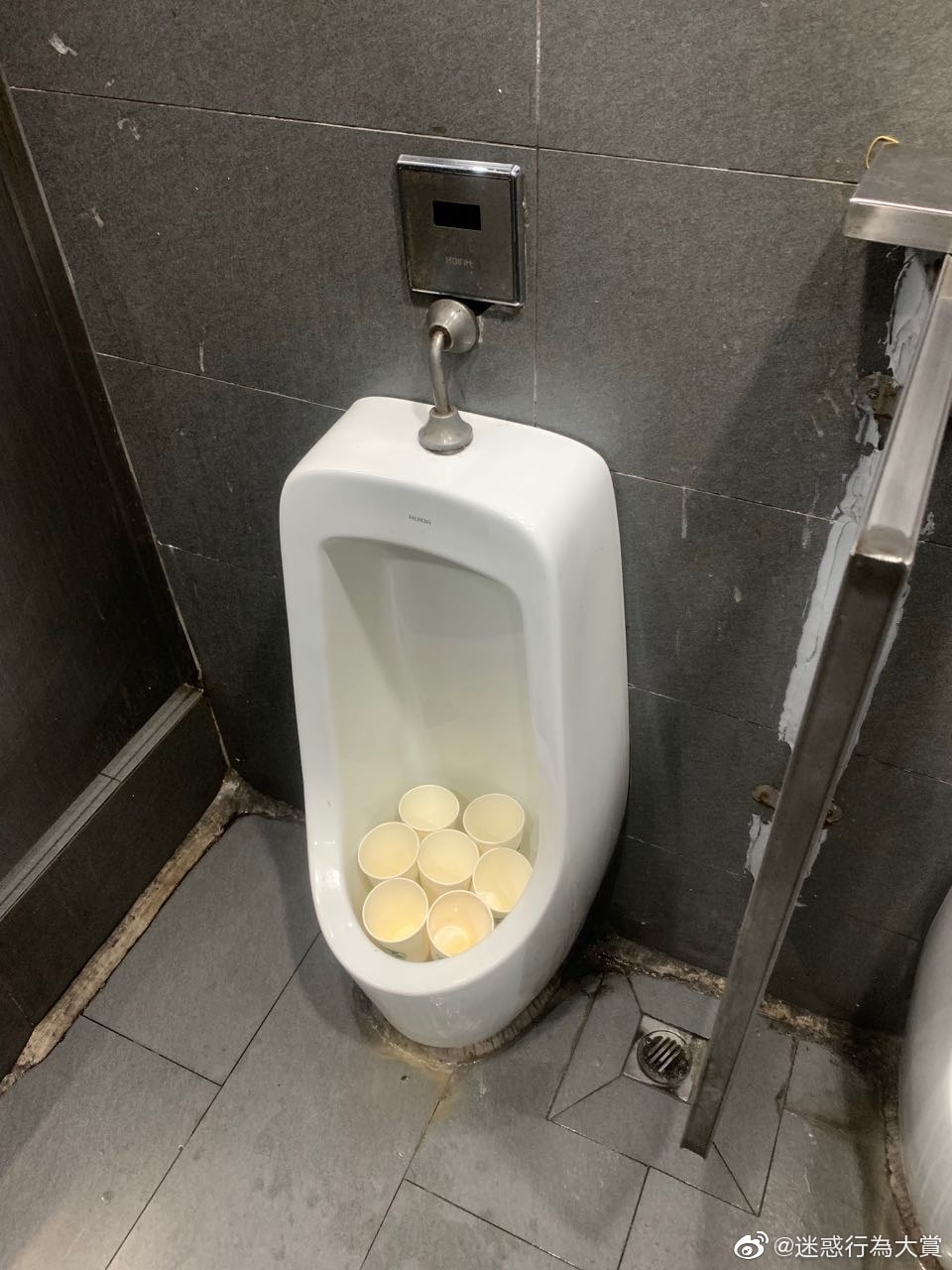 轻松一刻:春天到了,万物复苏了,她们也要开张了! 轻松一刻:春天到了,万物复苏了,她们也要开张了!