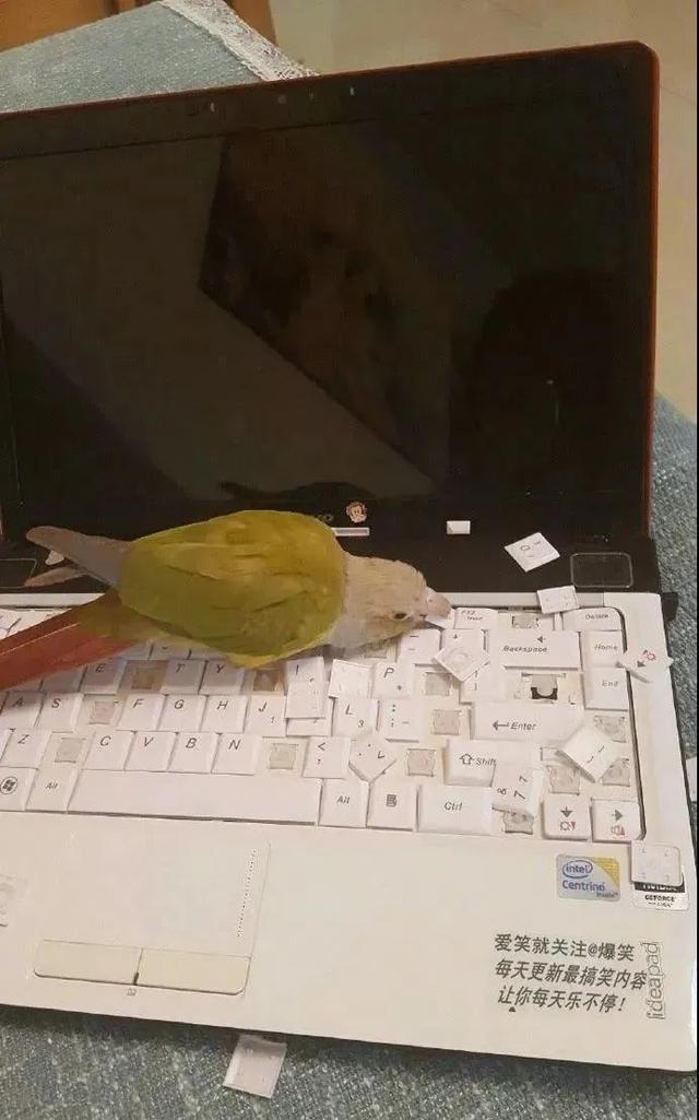 这就是传说中的郑女士吗? 这就是传说中的郑女士吗?