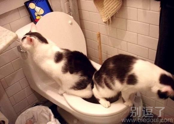 哥们,我们一起去嘘嘘。 哥们,我们一起去嘘嘘。