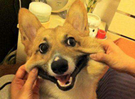 一段文字一段伤,一场回忆一场酸。 一段文字一段伤,一场回忆一场酸。