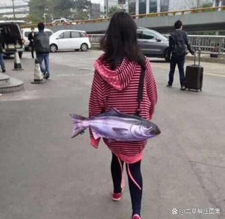 上班第一天,摸鱼看图解压。。哈哈哈哈 上班第一天,摸鱼看图解压。。哈哈哈哈