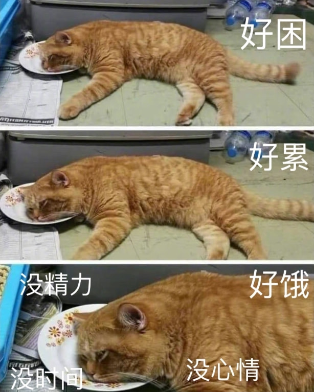 轻松一刻:爱人没有赚头,悦己旱涝保收 轻松一刻:爱人没有赚头,悦己旱涝保收