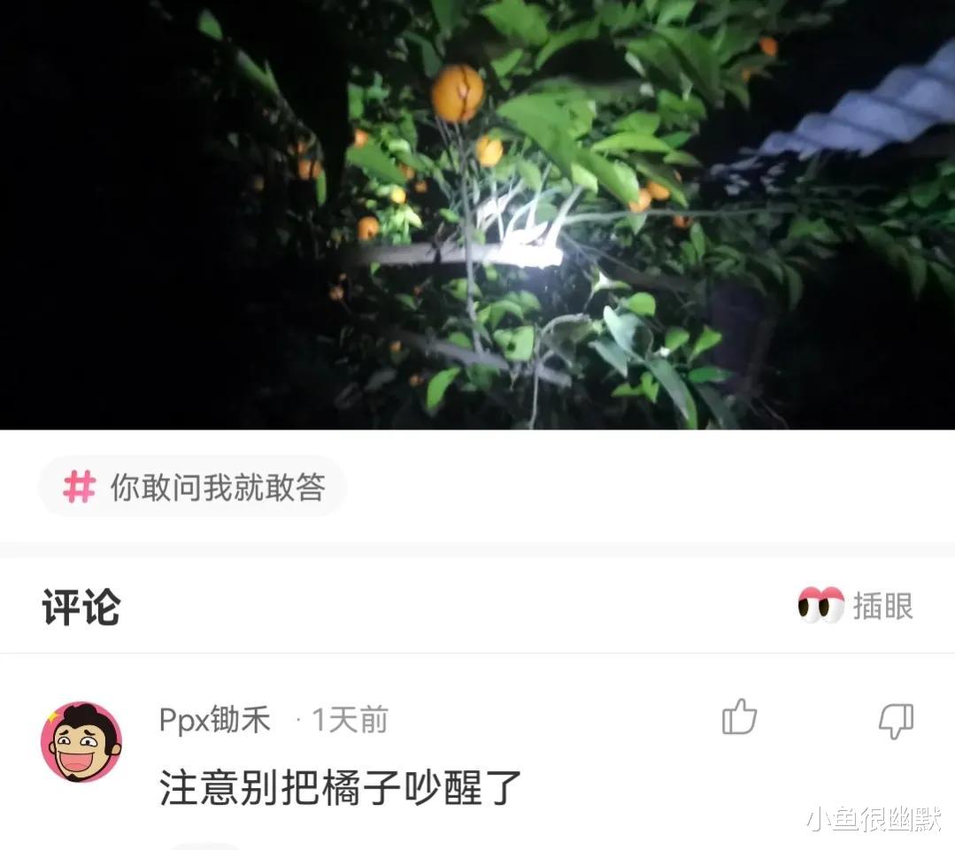 “下面两个妹子同时追你？你会选择哪一个？”神评搞笑了