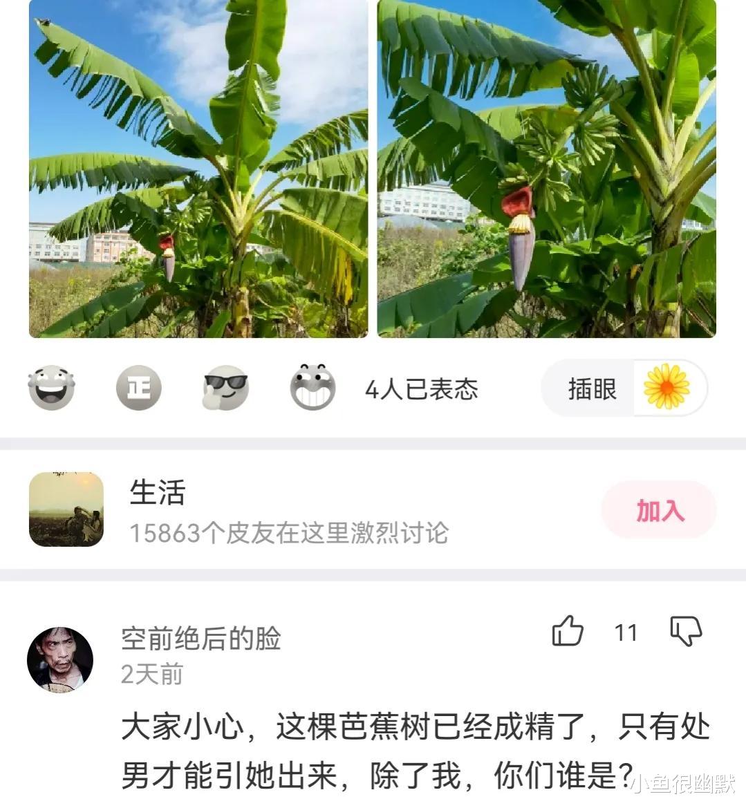 “下面两个妹子同时追你？你会选择哪一个？”神评搞笑了