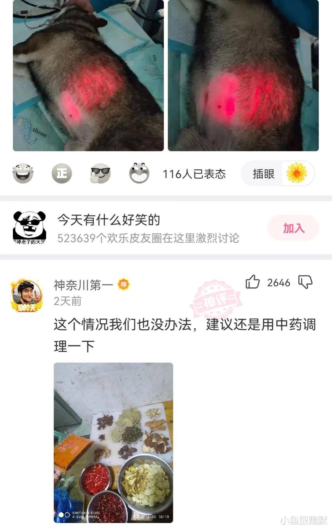 “下面两个妹子同时追你?你会选择哪一个?”神评搞笑了 “下面两个妹子同时追你?你会选择哪一个?”神评搞笑了