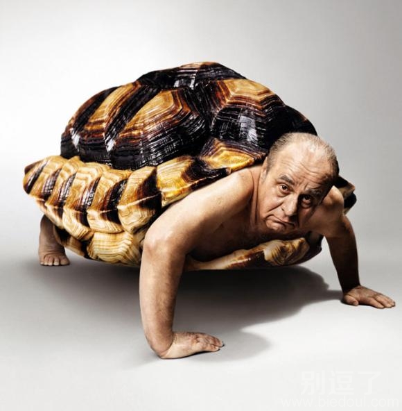 千年的乌龟,万年的鳖啊 千年的乌龟,万年的鳖啊