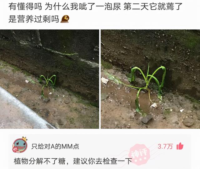 这是我小姑父，12天没下高速了，网友：自首吧，一直跑也不是办法
