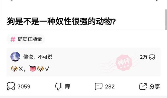 这是我小姑父，12天没下高速了，网友：自首吧，一直跑也不是办法