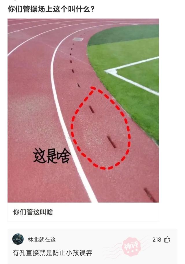 这是我小姑父，12天没下高速了，网友：自首吧，一直跑也不是办法