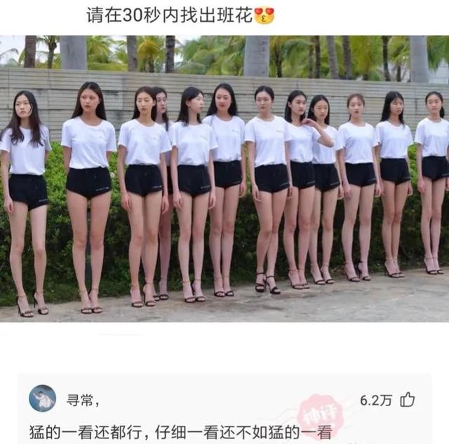 这是我小姑父，12天没下高速了，网友：自首吧，一直跑也不是办法