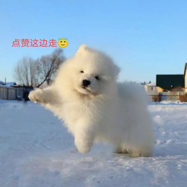 幽默笑话(一) 幽默笑话(一)
