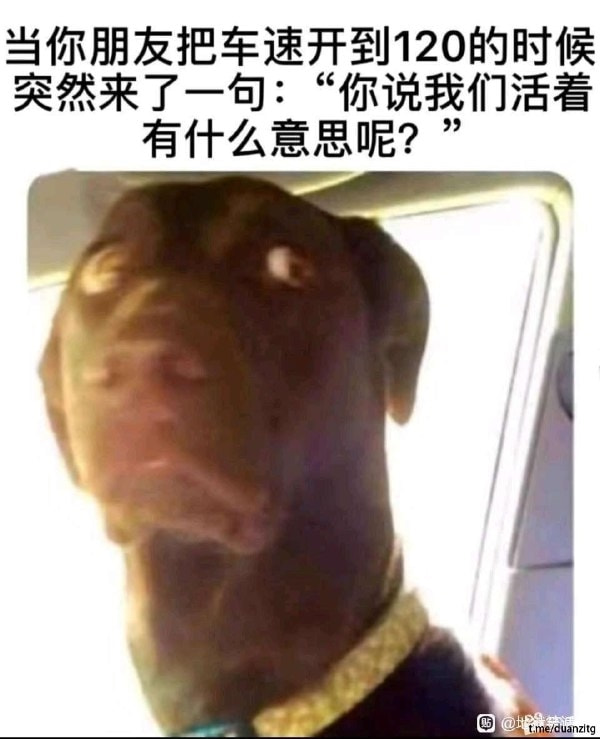 轻松一刻:年轻人越来越会玩了,听说过"鸡关枪"吗? 轻松一刻:年轻人越来越会玩了,听说过"鸡关枪"吗?