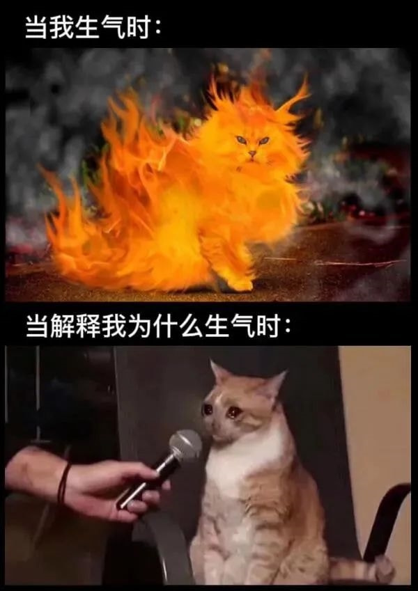 轻松一刻:年轻人越来越会玩了,听说过"鸡关枪"吗? 轻松一刻:年轻人越来越会玩了,听说过"鸡关枪"吗?