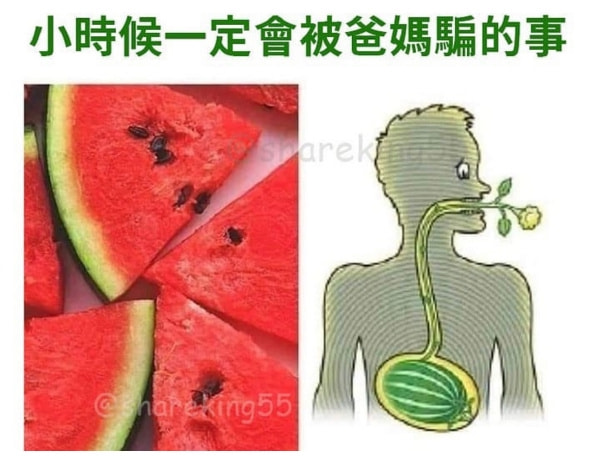 轻松一刻:年轻人越来越会玩了,听说过"鸡关枪"吗? 轻松一刻:年轻人越来越会玩了,听说过"鸡关枪"吗?