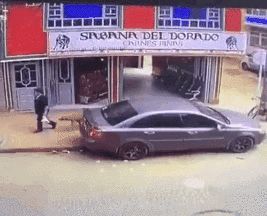 千万不要做犯罪份子家的狗,实在太惨了哈哈哈哈哈哈哈! 千万不要做犯罪份子家的狗,实在太惨了哈哈哈哈哈哈哈!