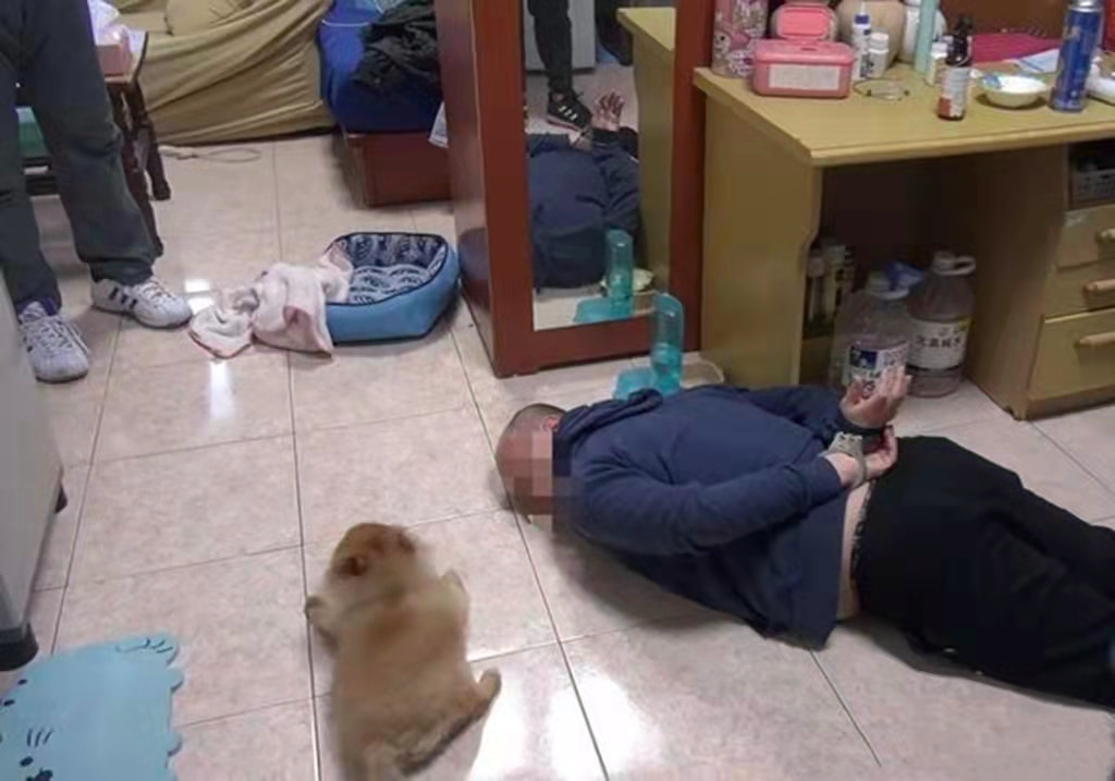 千万不要做犯罪份子家的狗,实在太惨了哈哈哈哈哈哈哈! 千万不要做犯罪份子家的狗,实在太惨了哈哈哈哈哈哈哈!