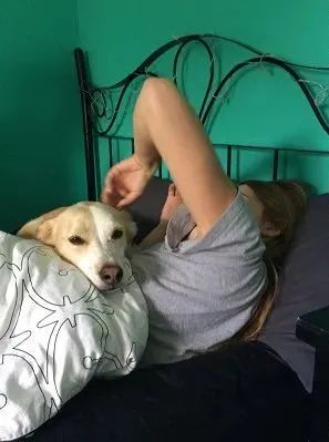 千万不要做犯罪份子家的狗,实在太惨了哈哈哈哈哈哈哈! 千万不要做犯罪份子家的狗,实在太惨了哈哈哈哈哈哈哈!
