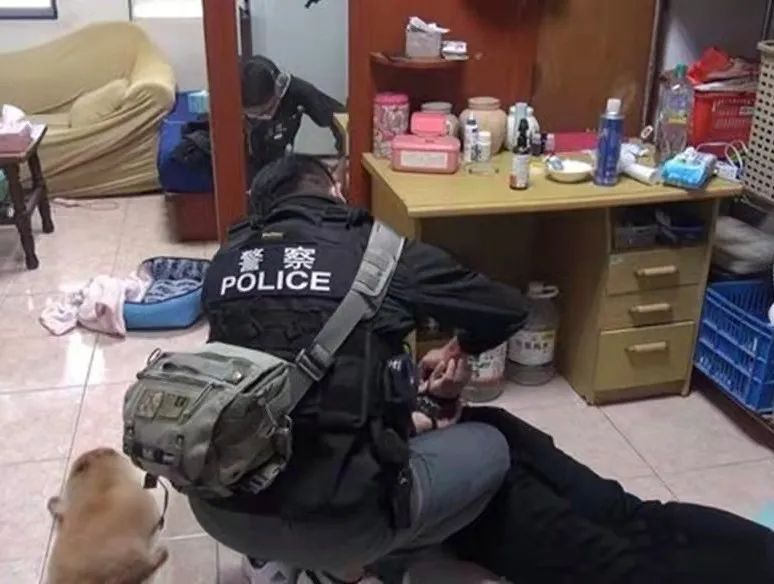 千万不要做犯罪份子家的狗,实在太惨了哈哈哈哈哈哈哈! 千万不要做犯罪份子家的狗,实在太惨了哈哈哈哈哈哈哈!