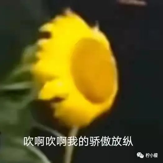 “陪姨一晚，给你20w...”啊啊啊真是坠了！吃点腰子马上去！