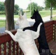 一起来看风景!!! 一起来看风景!!!