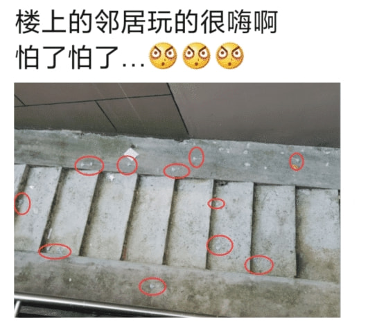 “楼上的情侣玩的很嗨啊,东西都丢了一地了!”哈哈哈哈哈哈! “楼上的情侣玩的很嗨啊,东西都丢了一地了!”哈哈哈哈哈哈!