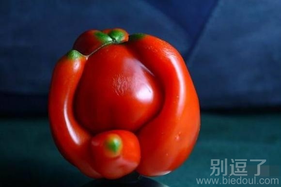 这个真是长得够怪的了 这个真是长得够怪的了