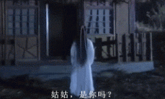 你真的是我姑姑吗