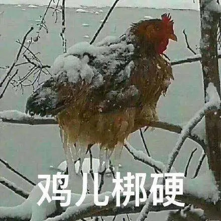 轻松一刻:没钱付车费,女顾客竟然这样做! 轻松一刻:没钱付车费,女顾客竟然这样做!