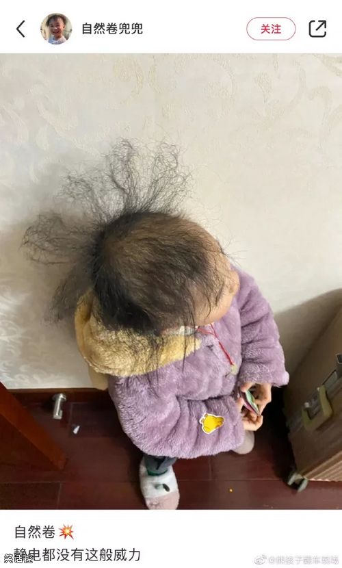 每根头发都有自己的想法。 每根头发都有自己的想法。