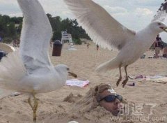 悲催的沙浴，可怜的人哟