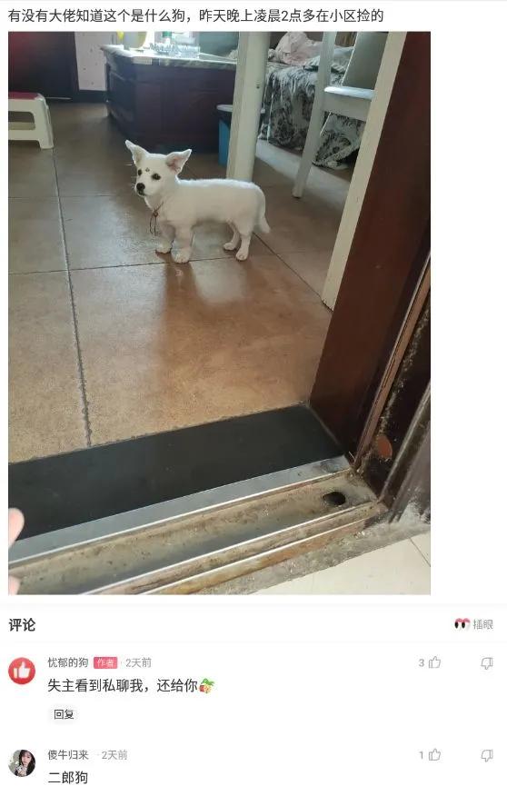 神回复:我的合租室友被男友甩了,而且怀孕了,我该怎么办? 神回复:我的合租室友被男友甩了,而且怀孕了,我该怎么办?