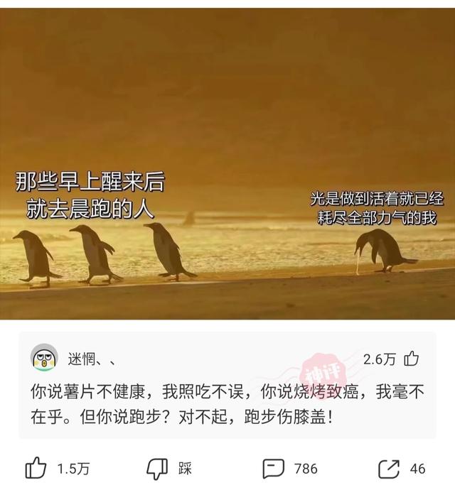 神回复：我的合租室友被男友甩了，而且怀孕了，我该怎么办？