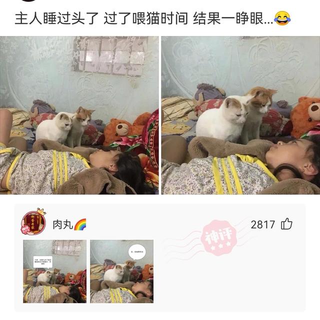 神回复:我的合租室友被男友甩了,而且怀孕了,我该怎么办? 神回复:我的合租室友被男友甩了,而且怀孕了,我该怎么办?