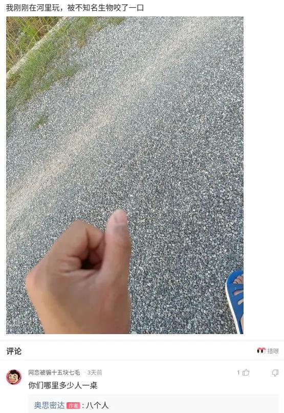 神回复:我的合租室友被男友甩了,而且怀孕了,我该怎么办? 神回复:我的合租室友被男友甩了,而且怀孕了,我该怎么办?