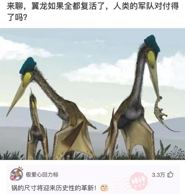 神回复:我的合租室友被男友甩了,而且怀孕了,我该怎么办? 神回复:我的合租室友被男友甩了,而且怀孕了,我该怎么办?