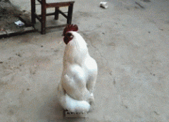 同志们，请注意，领导视察工作来了