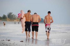 冲浪伴侣，哇哈哈，你厉害